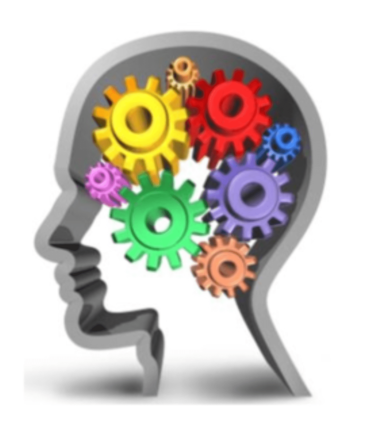 Learning Difficulties A1 Student Arrowsmith School